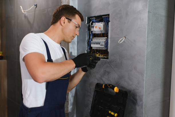 Best Ceiling Fan Installation Electrician  in Tomahawk, WI